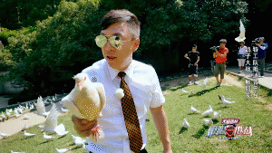 Go Fighting Huang Bo 1