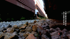 Go Fighting Show Luo Zhixiang 1