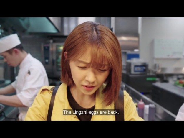 17888627_10212333321317177_1373179321_n