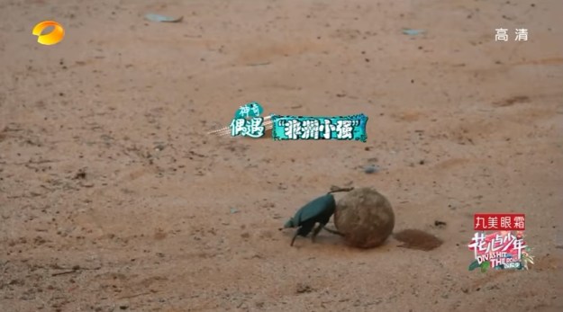 Diva Hits The Road S3 Ep 3 _ 16